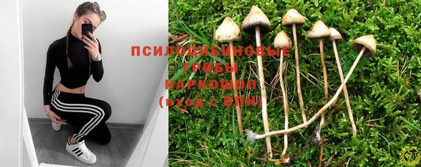 mix Белокуриха