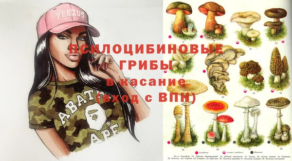 mix Белокуриха