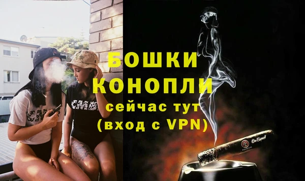 mix Белокуриха