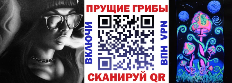Галлюциногенные грибы MAGIC MUSHROOMS  Циолковский 