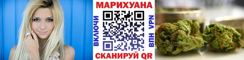 купить наркотики цена  Циолковский  Шишки марихуана SATIVA & INDICA 